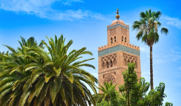 Maroc Marrakech minaret et palmiers premier plan